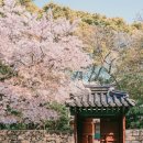 자연과 공간 이미지