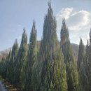 태림농장 이미지