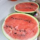 우곡그린복합영농조합법인 이미지