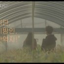 연출의 자유인 이미지