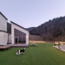 두치네민박 이미지