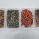 303-운정-303 이미지