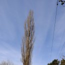 동읍680 | 단계리 우곡사 일원 창원 산책로