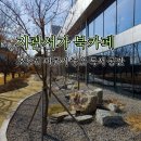 경기도 수원시 팔달구 월드컵로381번길 | 수원 우만동 지관서가 방문 후기 조용히 머물기 좋은 독서 공간