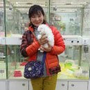 미소애견샵 이미지