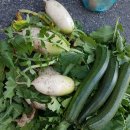 진가네농장 이미지