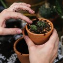 귀 건강학(이혈테라피) 이미지