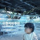 11650-16-7-19 | 일산 16개월 아기랑 가볼만한 곳, 수족관 카페 아쿠아가든 ❛오렌지아쿠아❜ 후기🐠