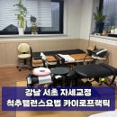 서초대로54길 24 | 강남 서초 자세교정, 카이로프랙틱, 교대역마사지 척추밸런스요법 리얼 후기