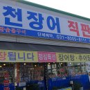 동백장어 이미지