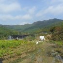 새동네1길 이미지