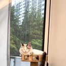 다옴헤어 이미지