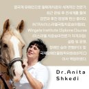 더케어팜 | 내돈내산 제2회 더 스티븐 홀스 케어팜 참가후기