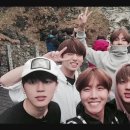 본보야지