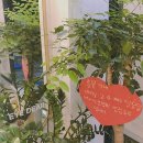 엑스포안경원 이미지