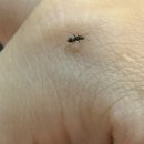 자연스럽게 안 더운 척하는 연기