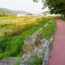 양천세천 이미지