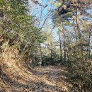 창선 가인리화석산지 | 바래길 4코스 고사리밭길 남해 적량항-천포-가인리 공룡발자국화석산지-창선방조제-창선파출소 여행기록