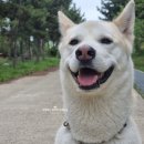 중구 낚시터 화장실 이미지