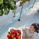 신남농장 이미지