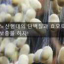 하록식품