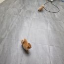 로이광택세차 이미지