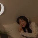 벨라코리아 | 벨라루나 달무드등 돌아 왔습니다!