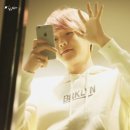 우쭈쭈 내강아지 이미지