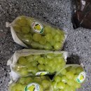 싱싱함을담은청과일