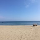 맹방비치캠핑장 이미지