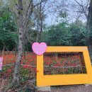 산호여성경로당 이미지