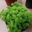 기쁨이네농장 이미지