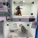 아프리카동물병원 이미지