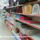 플러스애견미용실 이미지