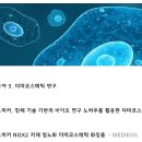 세라노틱스(주) 이미지