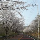 김동훈한의원 이미지