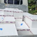 6.15 농장 이미지