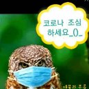 미스크