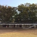 아이그루유치원 이미지