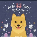 꽃길걷개 이미지