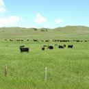 대평원목장 이미지