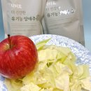 효식품 | 속 편한 하루를 위한 선택, 닥터효 유기농 양배추즙 솔직 후기