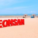 소노벨 변산 이미지