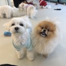 호텔플레이 이미지