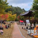 영양군청소년수련원 캠핑장 이미지