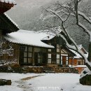 부안[扶安]내소사의 雪景 이미지