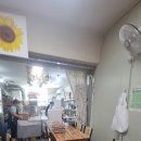 강진-41 | 강진맛집 라온테이블 꼬마김밥 40개 22천원 포장 배달음식 추천 강진 아이와 먹을만한 것