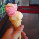 채선당플러스용이점 이미지