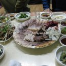 울산고래고기