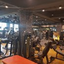 더 클래식 바디랩 이미지